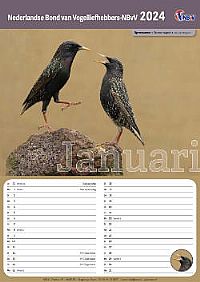 Kalender 2024 1 stuks