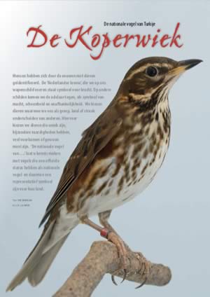 grot Oh Slager Onze Vogels – Nederlandse Bond voor Vogelliefhebbers